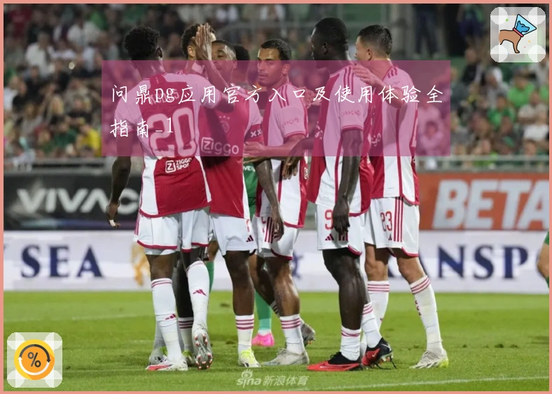 问鼎pg应用官方入口及使用体验全指南_1