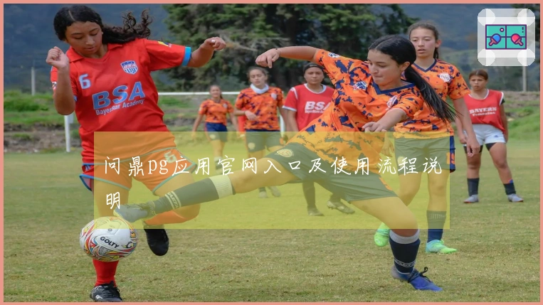 问鼎pg应用官网入口及使用流程说明