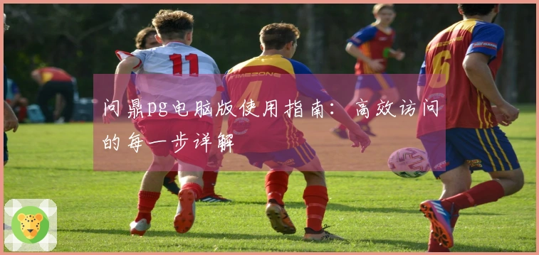 问鼎pg电脑版使用指南：高效访问的每一步详解